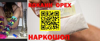 прущие грибы Камышлов