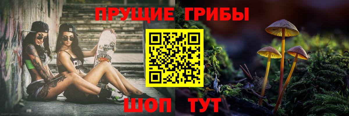 Обь  Галлюциногенные грибы Magic Shrooms  Вход с VPN  Галлюциногенные грибы Cubensis 